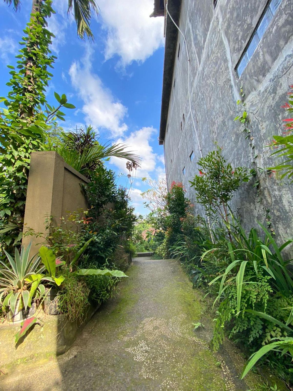 Bagus Homestay Ubud  Exterior photo