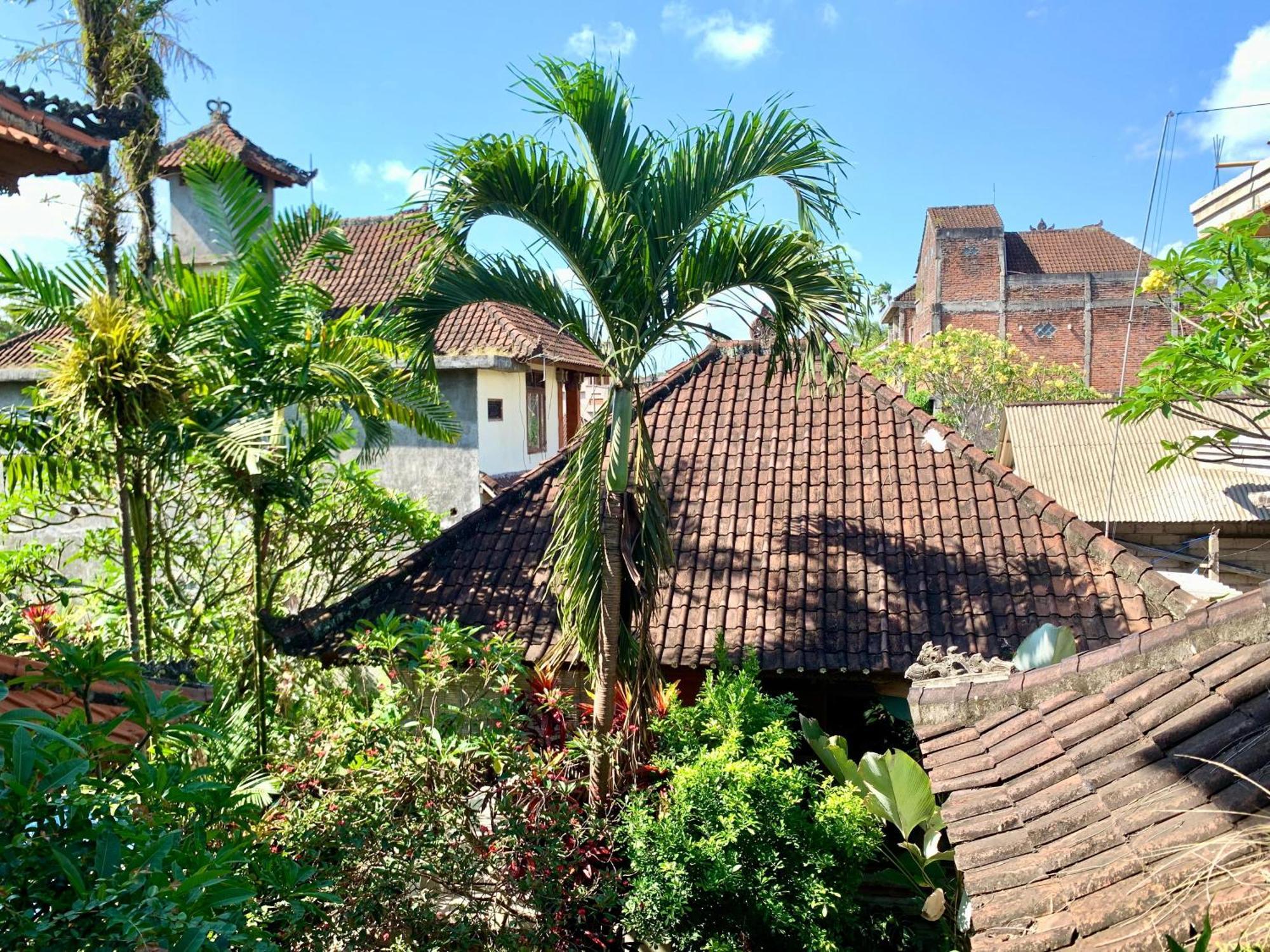 Bagus Homestay Ubud  Exterior photo